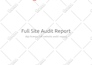 do full websites semrush SEO audit