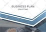 prepare investor ready business plan for startups, and sba business plan