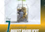 design lead magnet PDF, workbook, ebook in canva