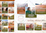 be your social media marketing manager and content creator