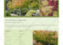 create a custom landscape design for your property