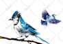 do watercolor painting of animals, botanicals, people, objects