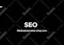 fix wordpress SEO issues and optimize websites for the search engine