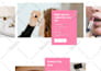 design web ui design or landing page or website template design