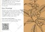 do coffee packaging, coffee bag, label design