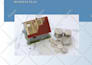 write an investor ready business plan, business proposal grant writer