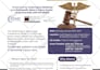 design professional flyer design