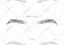 design a simple blank face chart with unlimited revisions