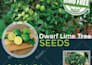 do professional flyer and brochure design with amazing graphics