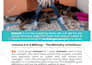 provide graphic design solutions