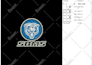 digitize image for embroidery digitizing logo, embroidery patch design, file dst