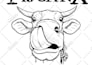 convert your image to vector line art drawing, vector outline from any image