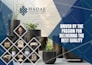 design any bifold, trifold brochure, flyer, poster, leaflet