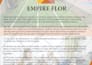 design outstanding product catalog