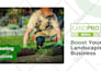 write, design premium powerpoint sales presentation and pitch deck