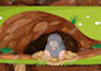 create kids children book illustrations