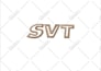do embroidery logo digitizing design into dst file in 1 hour