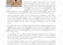 write a flawless biography or bio