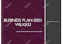 write a complete business plan with financial projections