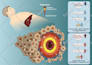 design scientific covers and graphical abstracts
