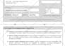 provide the best service in microsoft word excel formula automation