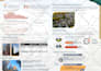 design a professional infographic for ngos and organizations