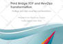do an executive summary, one pager, corporate flyer, investor teaser, or report
