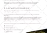 do a flyer, bifold, trifold brochure design, product catalog