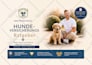 design editable canva ebook, pdf lead magnet, workbook, canva ebook and workbook
