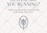 design stunning ebooks, workbooks, lead magnet pdfs and guides