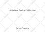 design poetry book formatting poem illustration book cover children story book