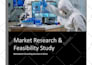 conduct market research and a business feasibility study
