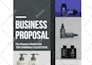 prepare investor ready business plan, financial plan, pitch deck and propsal