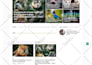develop google adsense autopilot wordpress website for adsense approval
