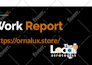 fix technical SEO, ahrefs, semrush errors and do complete website audit