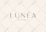 design logo, brand style guide or brand identity guidelines with branding kit