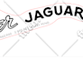 do manual vector tracing with adobe illustrator