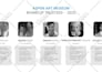 design professional org charts or organizational charts within 2 hrs