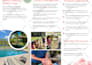 design a professional print ad and stationery