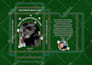 design custom flash, affirmation tarot and oracle cards