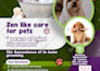 build fda compliant research peptide website with woocommerce on wordpress, wix