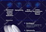 design a professional one pager, report or white paper