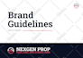 design professional brand style guide