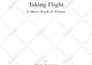 do professional book formatting for ingramspark, lulu and barnes in indesign