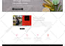 design elementor landing page or wordpress site