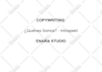 be your professional copywriter