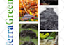 design lookbook, catalog, portfolio, brochure