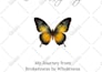 do kdp book formatting and layout design
