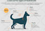 design powerpoint presentation, pitch deck, ebooks