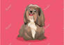 draw cute pet cartoon in  24 hours